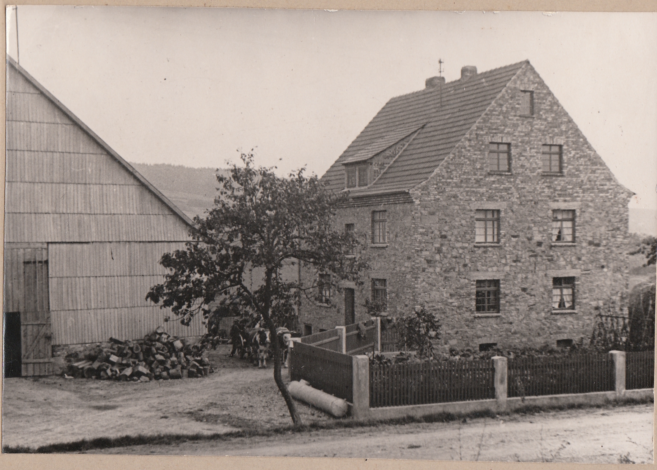 bilder_von_frueher_20090819_1210948559