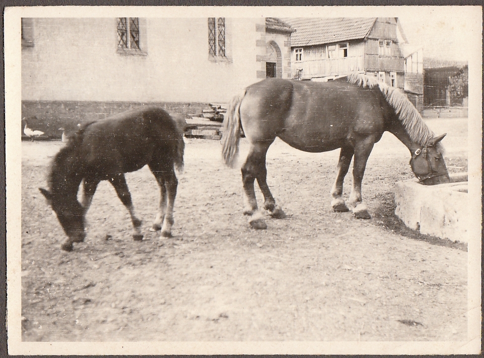 bilder_von_frueher_20090819_1859702982